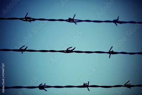 three barbed  wire lines and light blue background photo