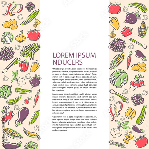 Agricultural flyer template with hand drawn vegetables, flat sty
