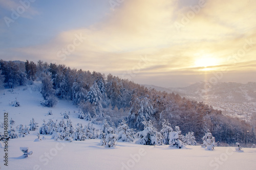 Winter sunset snow field on top of mountain on the background of taiga forest and hills © nighttman