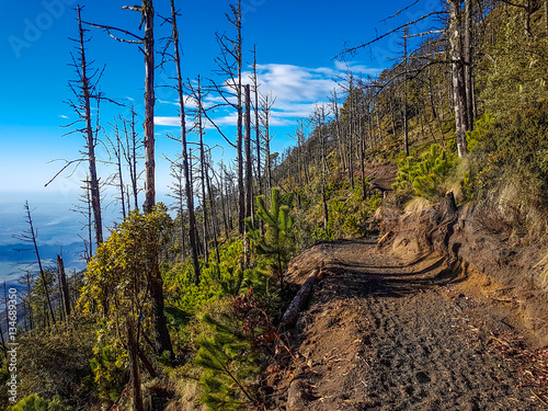 Trekking trail of  Acatenango volcano ,Guatemala photo
