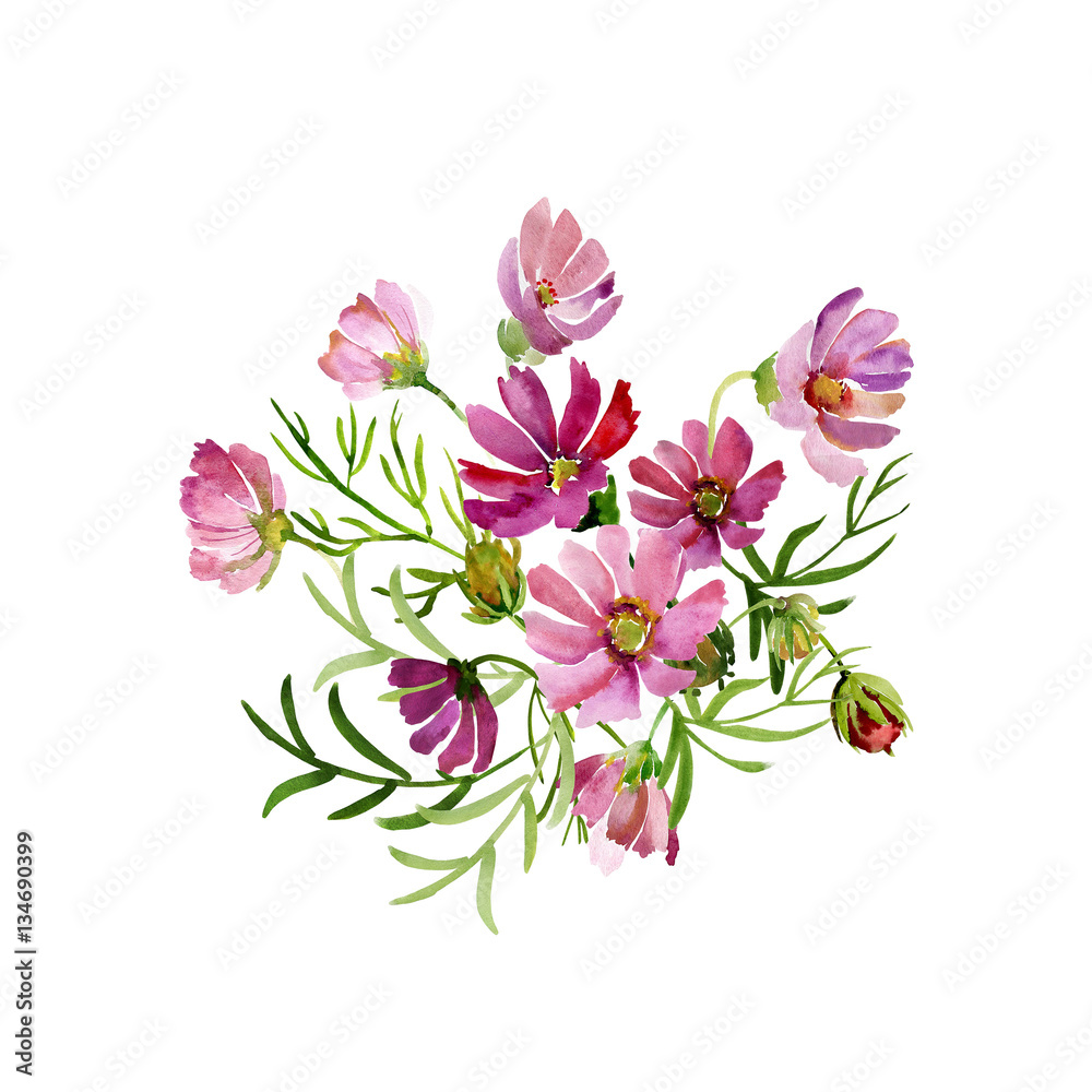 Obraz Seamless pattern garden flowers