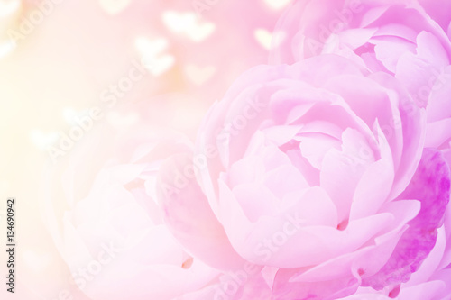 blur background of pink rose with heart shaped bokeh for valentine,abstract background