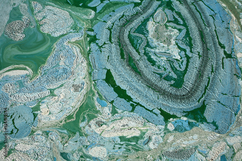 Blue-green algae on a lake in denmark photo