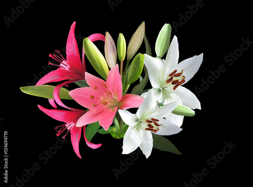 pink and white lily flower bunch on black