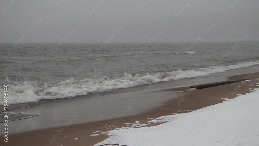 Blizzard and the running waves on the sandy snow coast of a reservoir, Ob River , Siberia, Russia
Blizzard and the running waves on the sandy snow coast of a reservoir, Ob River , Siberia, Russia