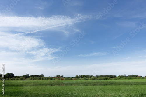 Beautiful sky and clouds with crop field.