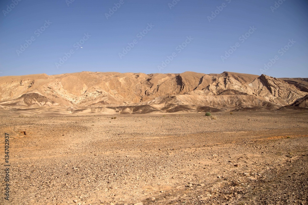 Desert landscape Desert landscape