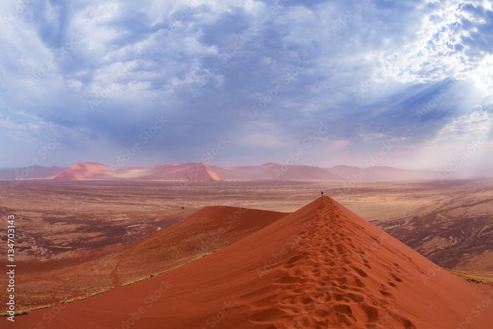 Naklejka premium Sand dunes 