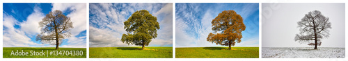 Vier Jahreszeiten - Collage