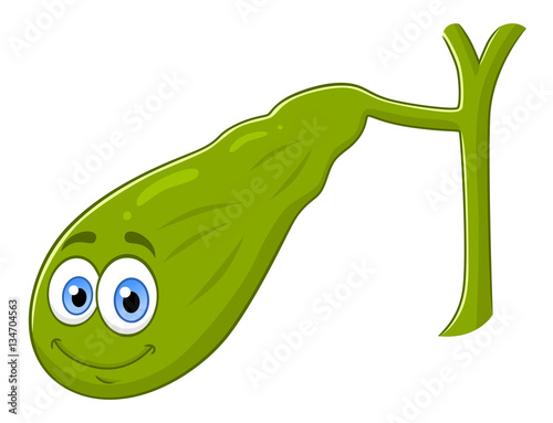 Cartoon gallbladder