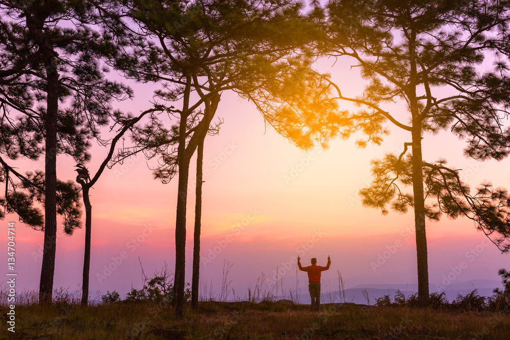 Silhouette of young man on sunset or sunrise in pine forest. Con