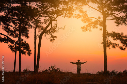 Silhouette of Happy hiker with raised hands in pine forest
