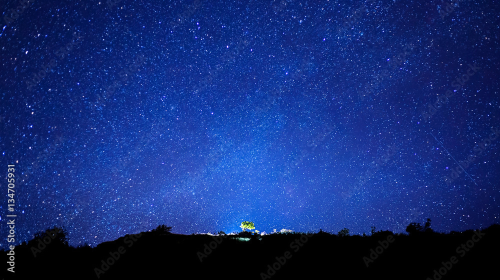 Milky Way and silhouette of tree on top of mountain, Long exposu