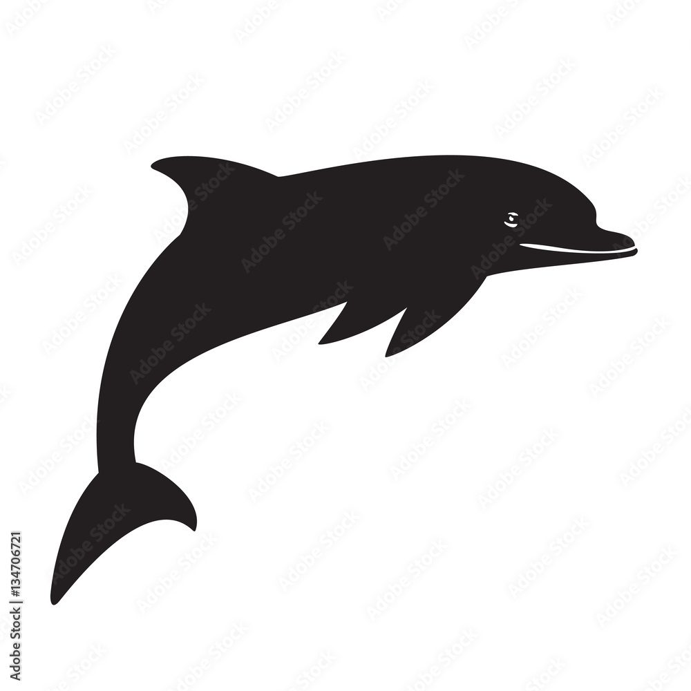 silhouette dolphin on the white background black silhouette dolphin on the white background black
