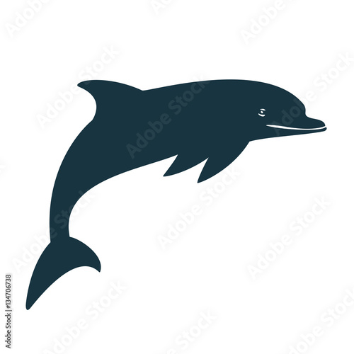 silhouette dolphin on the white background blue