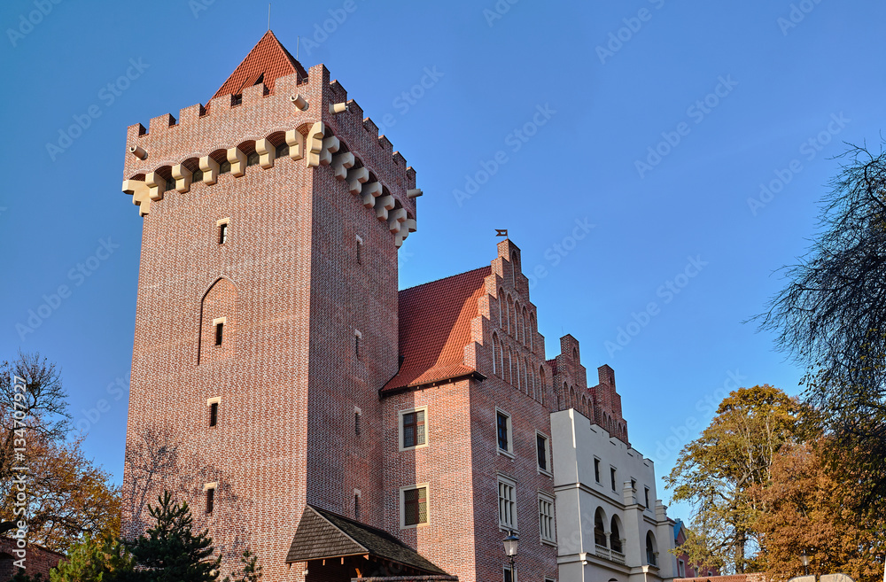 The tower of the royal castle in Poznan .