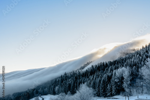Panorama - Landschaft Winterbild mit schönem Nebel bei Sonnenlicht