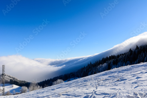Panorama - Landschaft mit schönem Nebel bei Sonnenlicht