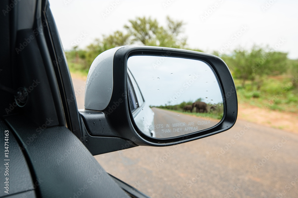 Side rear mirror of car showing elephant herd passing the street Side rear mirror of car showing elephant herd passing the street