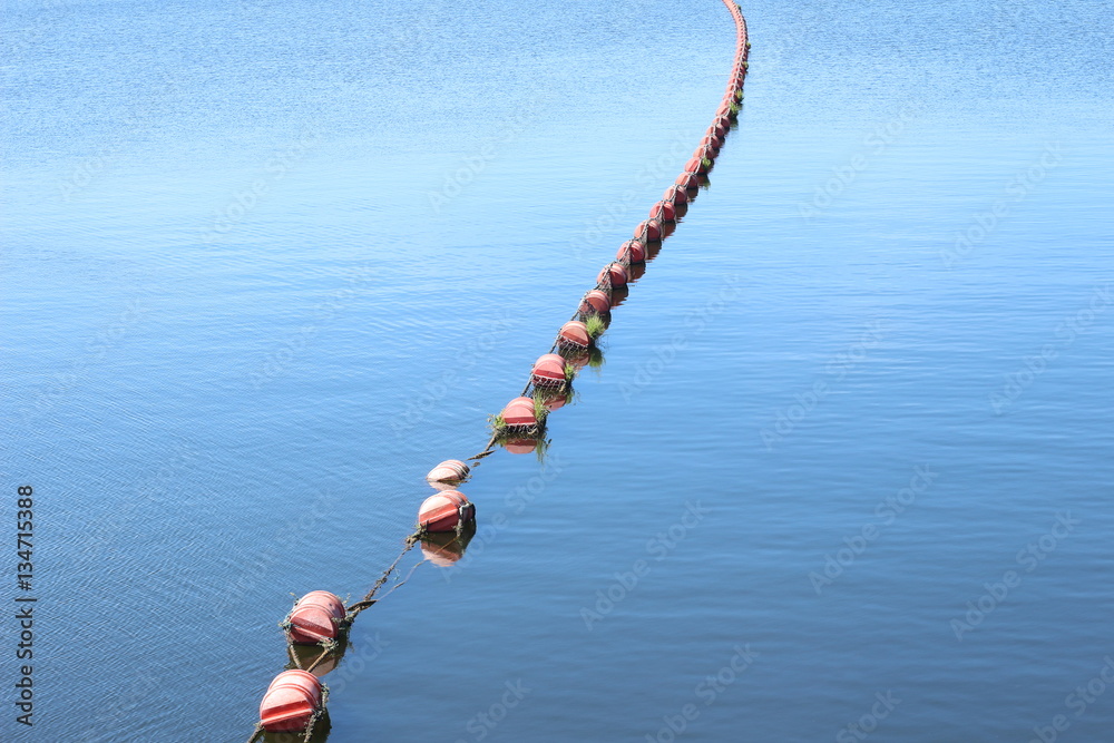 Buoyancy in the sea. copy space Buoyancy in the sea. copy space