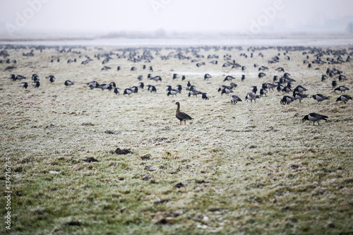 nordsee