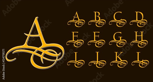 Vintage Set 1. Calligraphic capital letters with curls for Monograms and Logos. Beautiful Filigree Font With elements of Arabic calligraphy