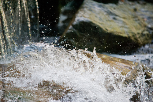 Wassertropfen auf Stein © Manfred Herrmann
