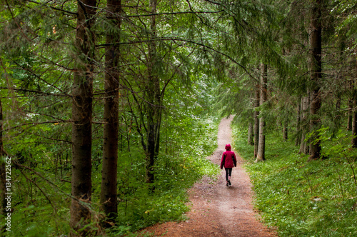 Woman hiking alone in a forest trail