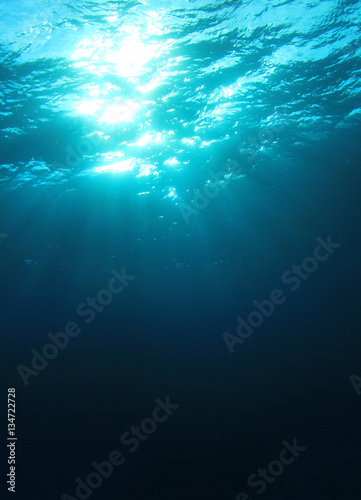 Underwater © Richard Carey