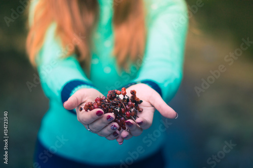 A girl holding a snowball berries