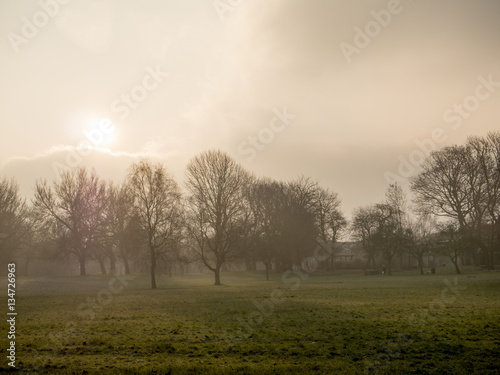 Trees silloutted by the early morning sun rise on a cold frosty morning in a park in Manchester