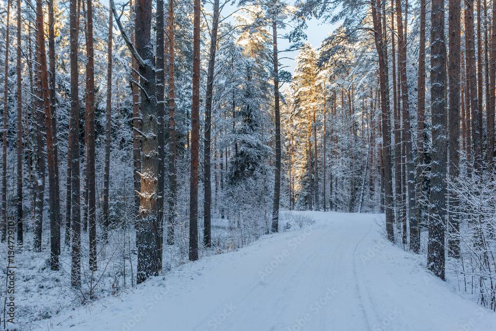 Winter, snow covered road in forest at sunset