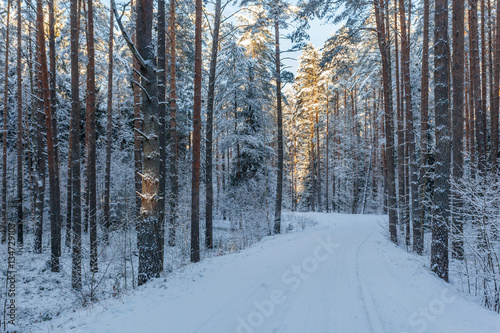 Winter, snow covered road in forest at sunset