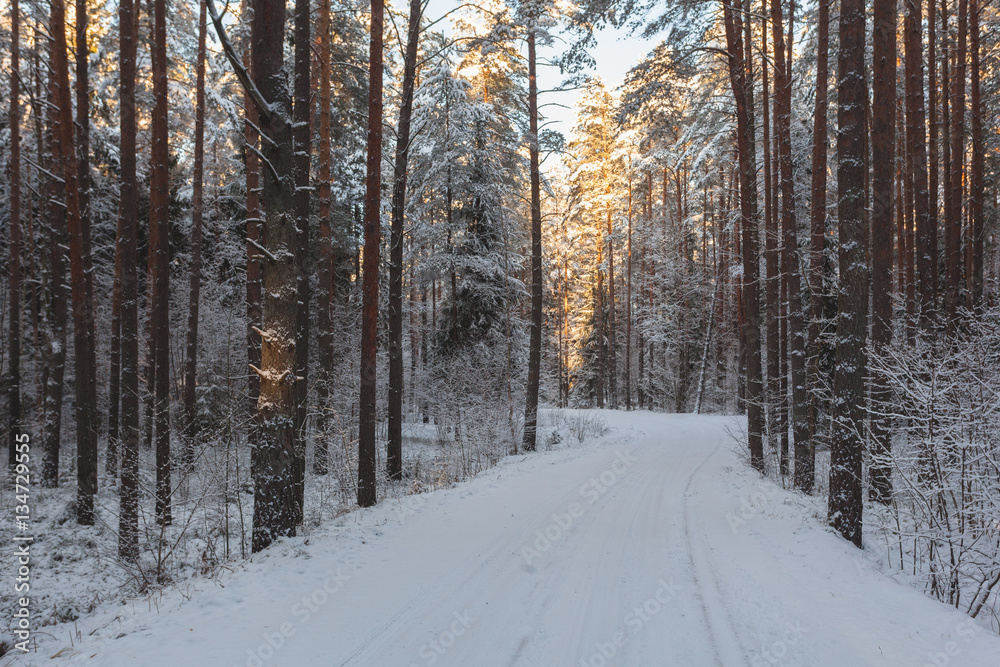 Winter, snow covered road in forest at sunset Winter, snow covered road in forest at sunset