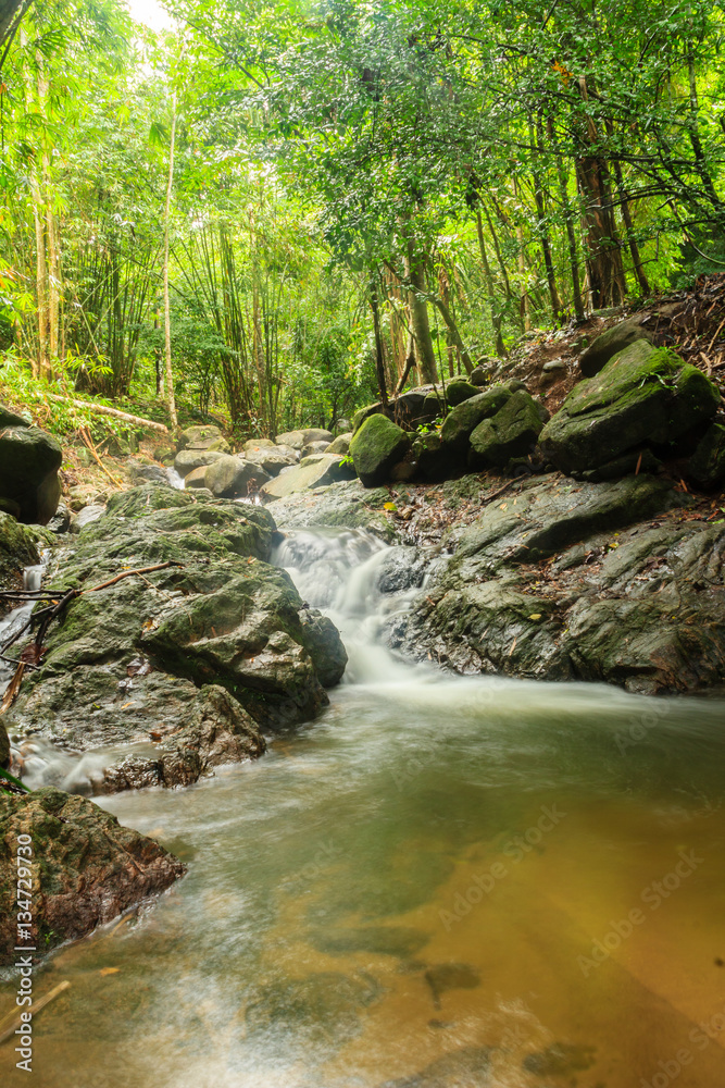 Obraz premium Bang Pae Waterfall at Khao Phra Thaeo National Park in Thalang, north of Phuket Town is a popular recreational spot for islanders. 