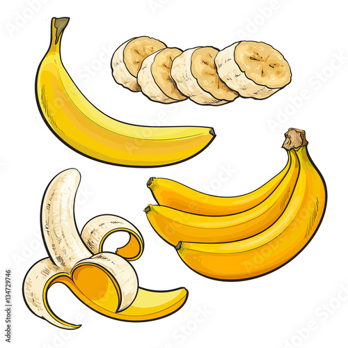 Sliced, peeled, singl and bunch of three ripe banana, sketch style vector illustration isolated on white background. Realistic hand drawing of whole, peeled, sliced banana and a bunch of three bananas