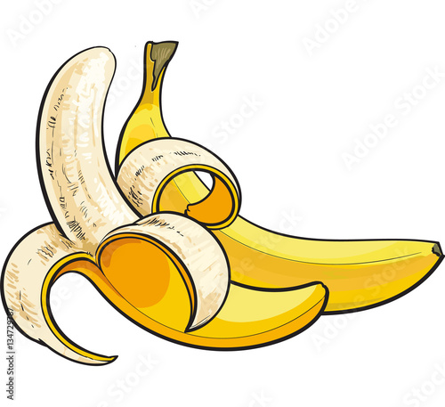 bananas, one open and unopened, sketch style vector illustration isolated on white background. Realistic hand drawing of open and unopened ripe bananas