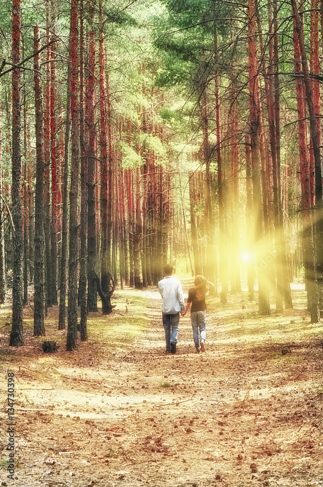 Girl with a guy holding hands stretching into the distance on a forest path in the pine forest. The slender trunks of pine trees, herb, soft sunlight.  warm summer day, walk in love
