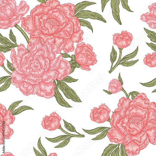 Vintage peony flowers, buds and leaves. Vector seamless pattern.