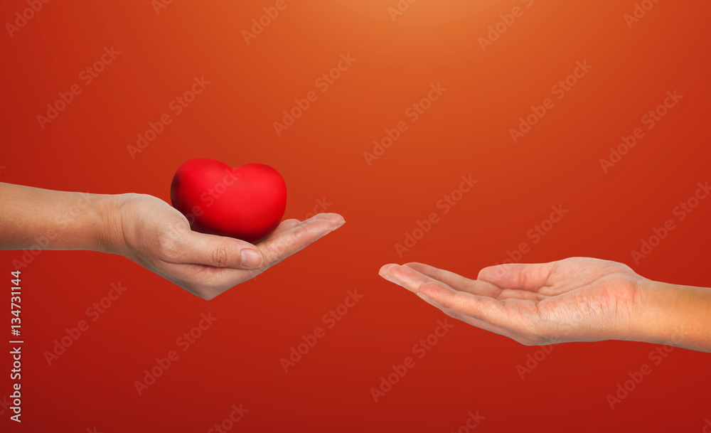 Fototapeta premium Hands hold red hearts