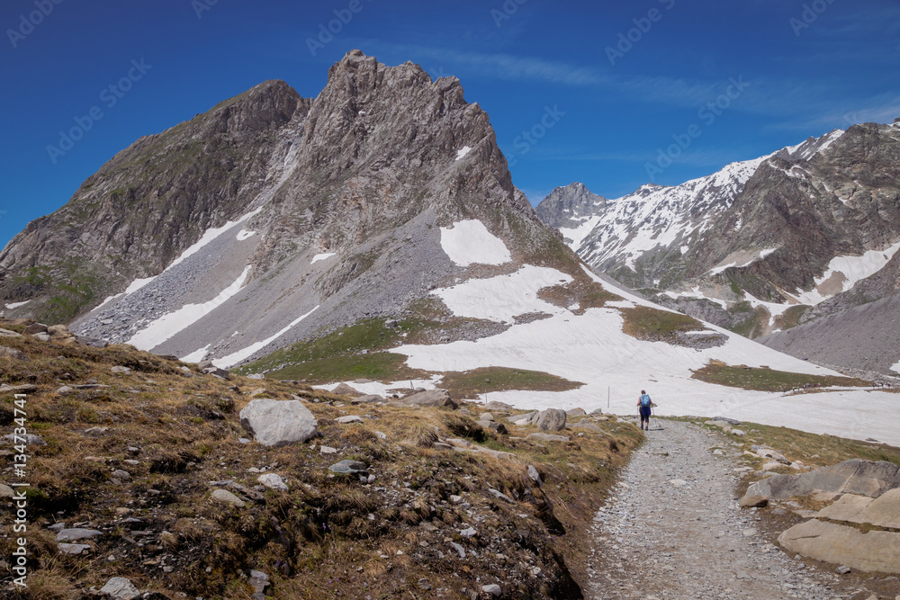 The Vanoise massif is an important mountain range of the Graian Alps in the Western Alps. After the Mont Blanc Massif