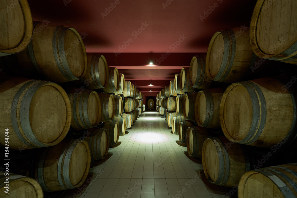Wooden barrels in the wine cellar