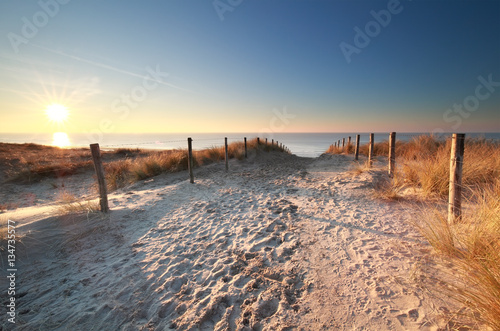 sunlight over sand path to North sea beach