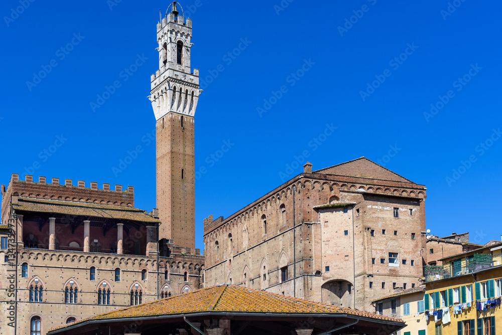tower of Mangia and Town Hall view from the market square, Siena, tuscany, italy