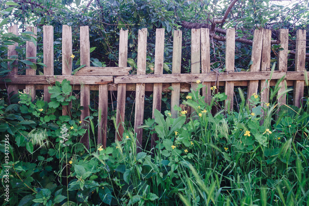 wooden fence with greenery wooden fence with greenery