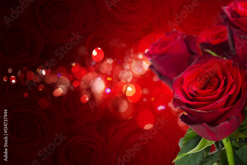 scarlet roses on red bokeh background with sparkles