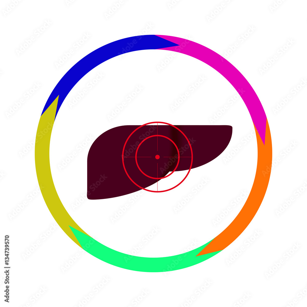Vector illustration. The emblem, logo. The liver is under the gun. Outline a circle of five colors. Different colors. Vector illustration. The emblem, logo. The liver is under the gun. Outline a circle of five colors. Different colors.