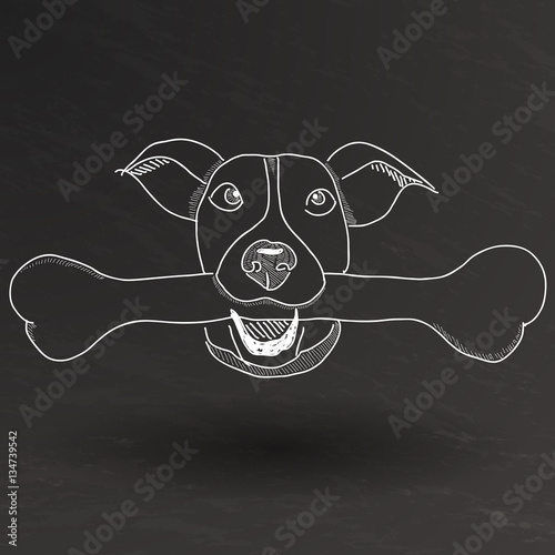 Disegno Cane
