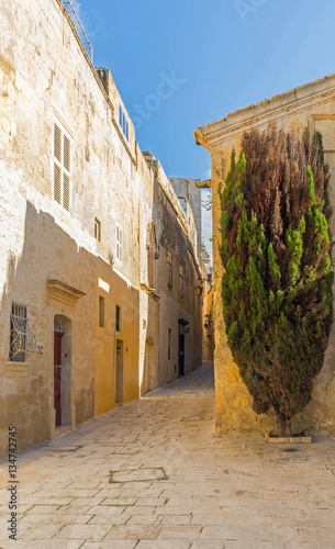 malta - streets of mdina