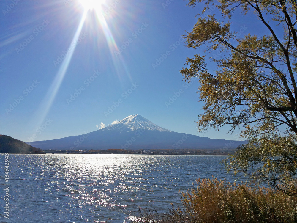 Fuji mountain and Kawaguchiko lake on a sunny day